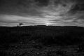 2016_11_27 (0069)